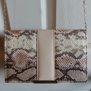 Clutch Purse Crossbody bag